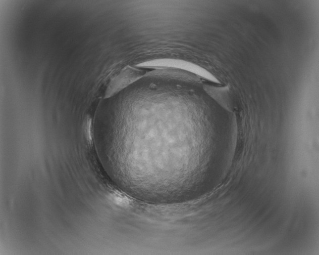 X0000057040041200509231458