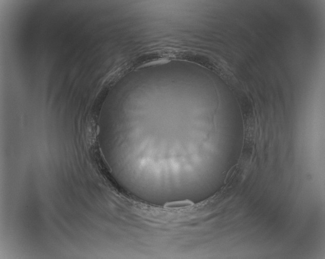 X0000057040043200509231458