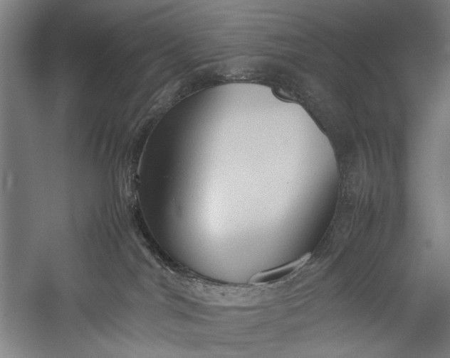 X0000057040044200509231458