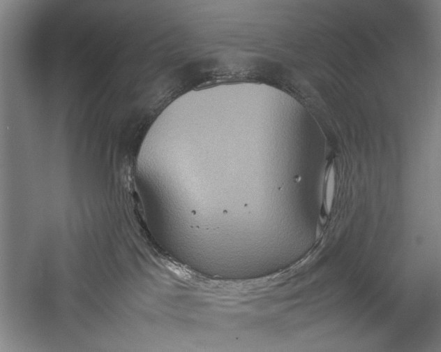 X0000057040045200509231458