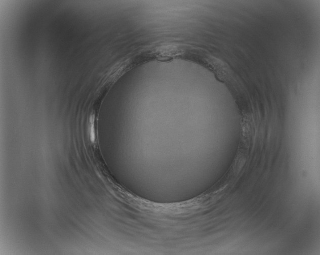 X0000057040046200509231458