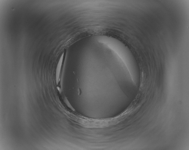 X0000057040048200509231458