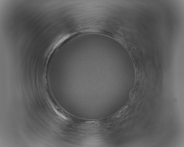 X0000057040050200509231457