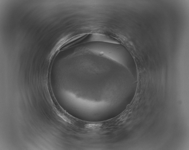 X0000057040051200509231457