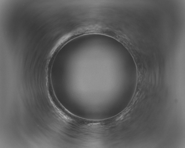 X0000057040054200509231458