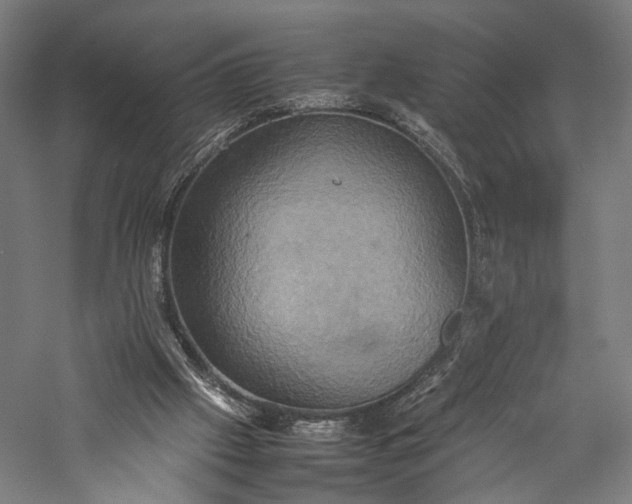 X0000057040057200509231458