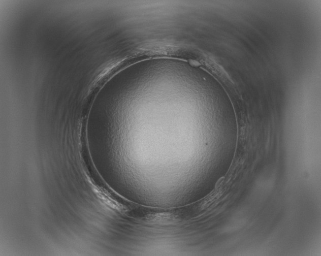 X0000057040058200509231458