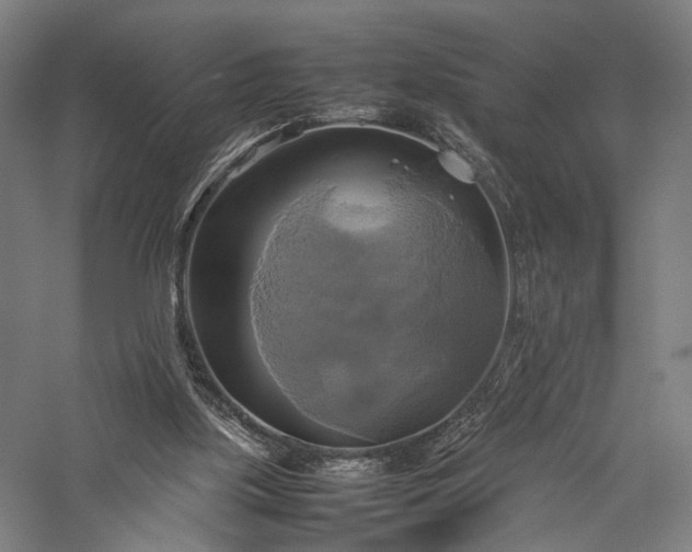 X0000057040059200509231458