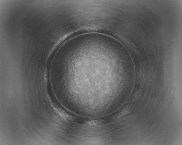 X0000057040064200509231458