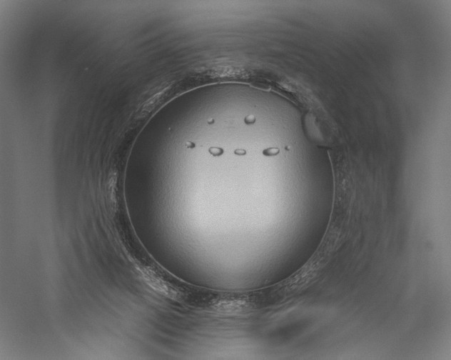 X0000057040066200509231458
