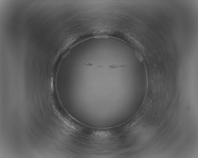 X0000057040067200509231458