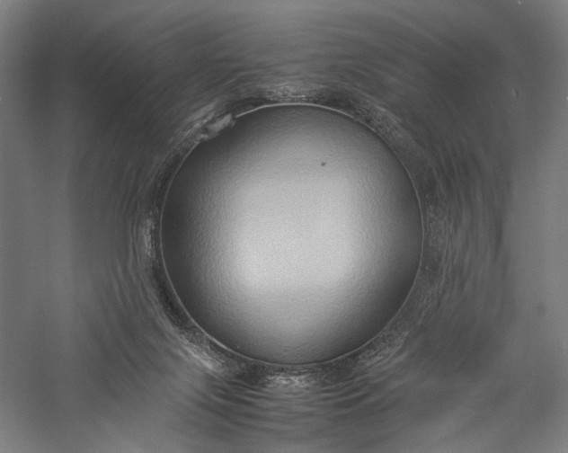 X0000057040071200509231458
