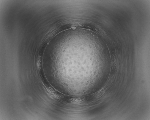 X0000057040074200509231458