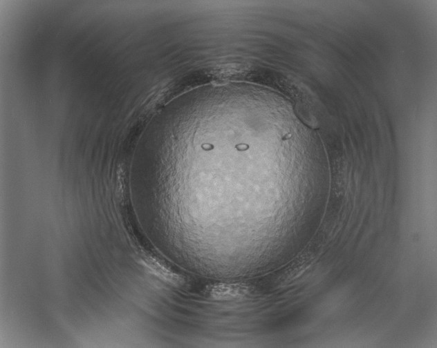 X0000057040077200509231458