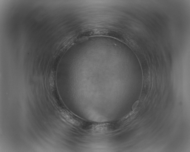 X0000057040078200509231458