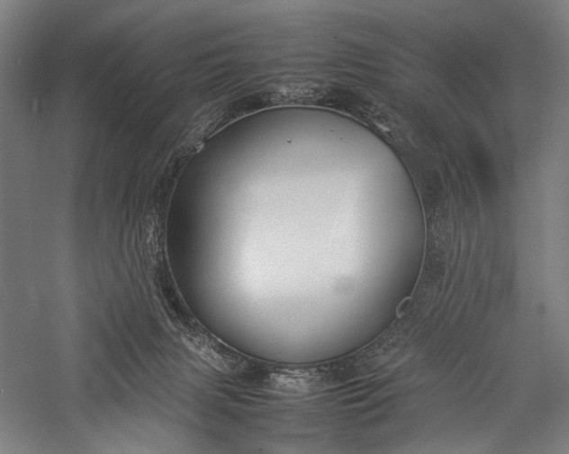 X0000057040079200509231458