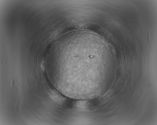 X0000057040090200509231458