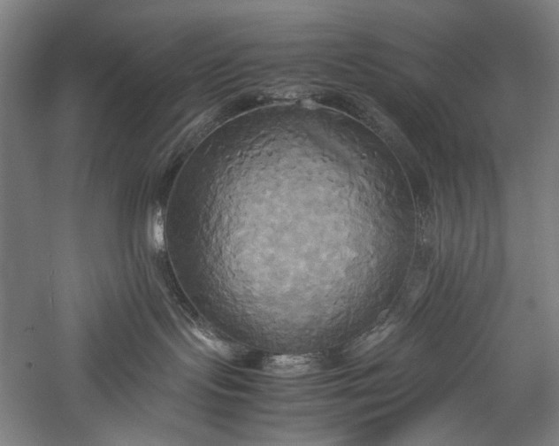 X0000057040095200509231458