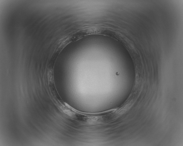 X0000057040096200509231458