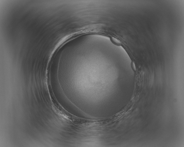 X0000057040100200509231457