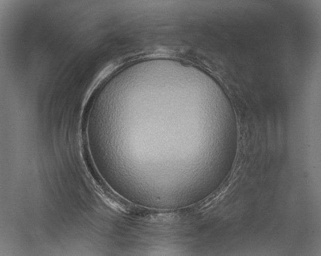 X0000057040102200509231457