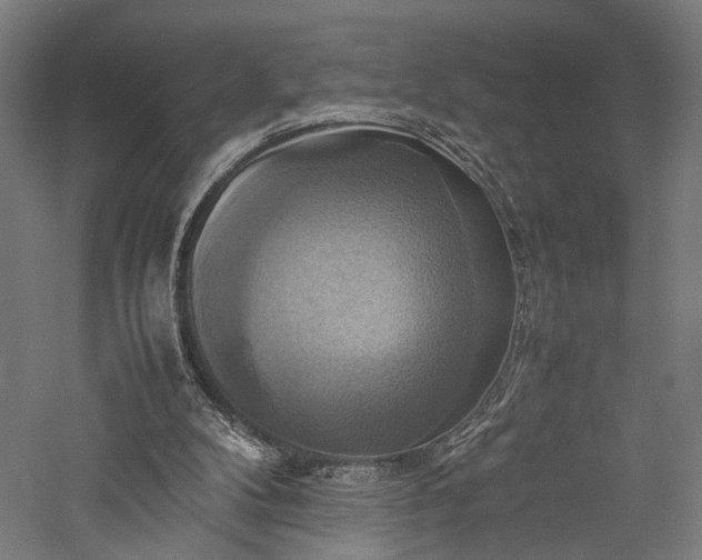 X0000057040104200509231457