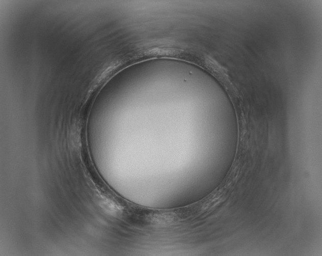 X0000057040106200509231457