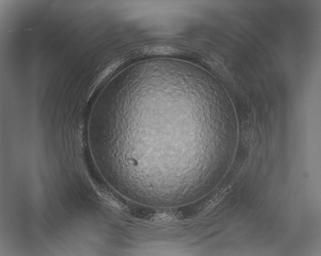 X0000057040111200509231457