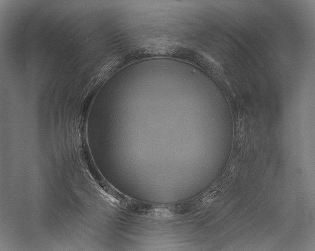 X0000057040114200509231457