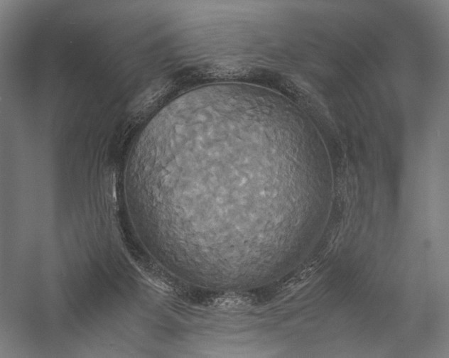 X0000057040115200509231457