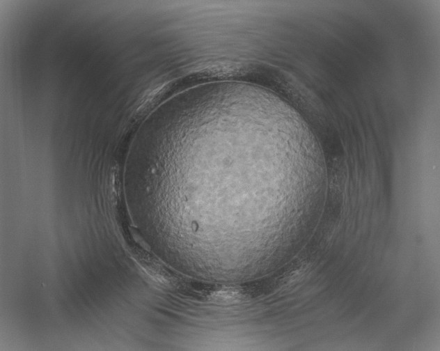 X0000057040119200509231457