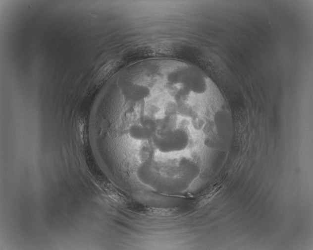 X0000057040123200509231457