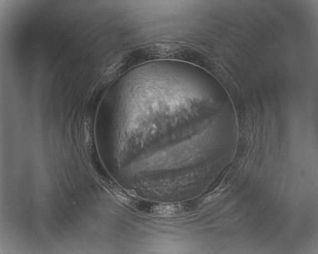 X0000057040131200509231457