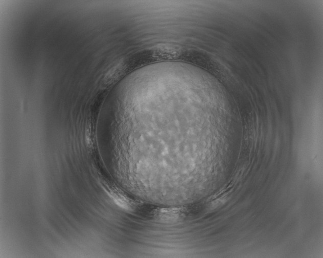 X0000057040134200509231457