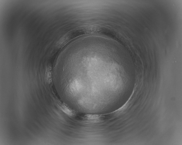 X0000057040144200509231457