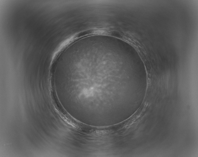 X0000057040149200509231456