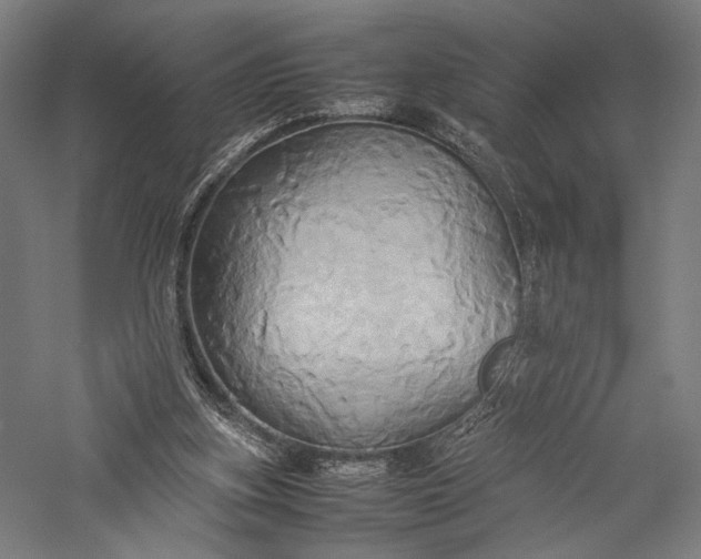 X0000057040155200509231456