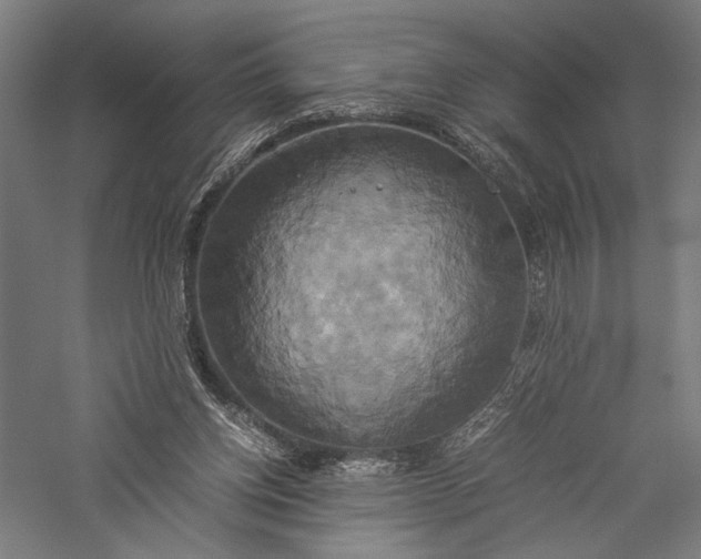 X0000057040158200509231456