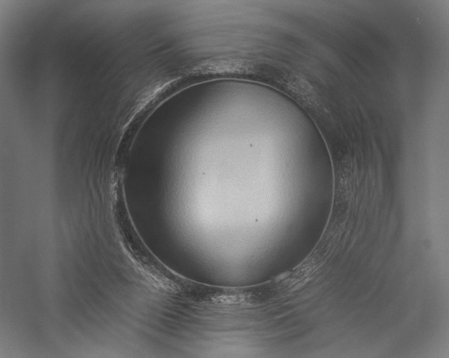 X0000057040160200509231456