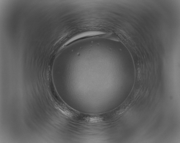 X0000057040165200509231456