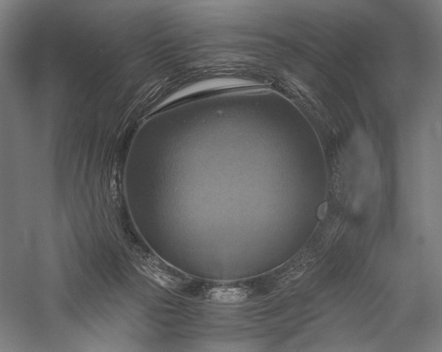 X0000057040169200509231456