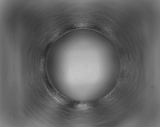 X0000057040171200509231456