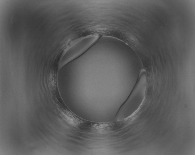 X0000057040186200509231457