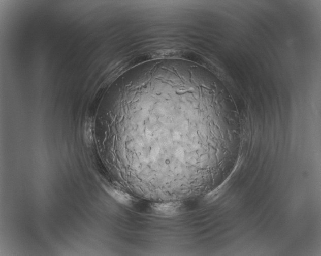 X0000057040191200509231457