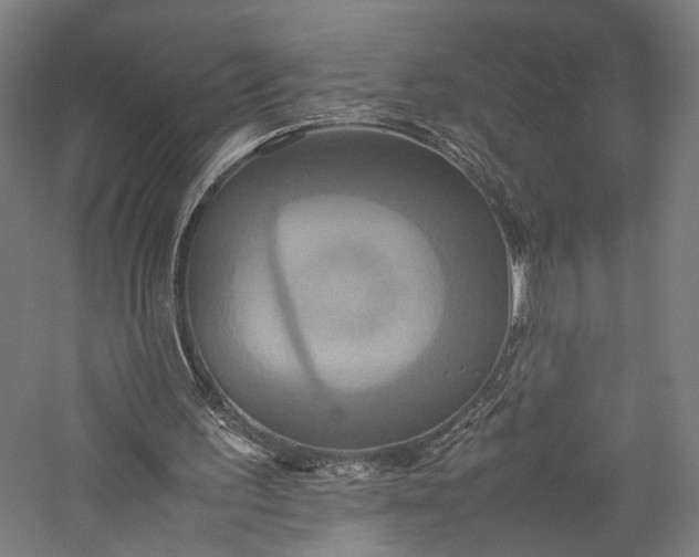X0000057040195200509231456