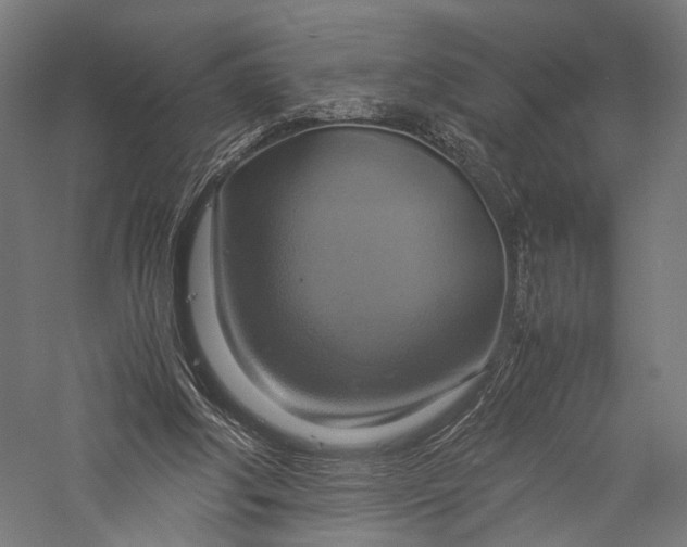 X0000057040202200509231456