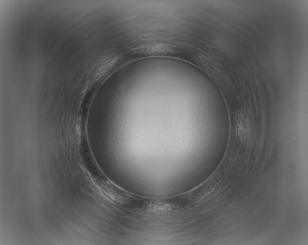 X0000057040206200509231456