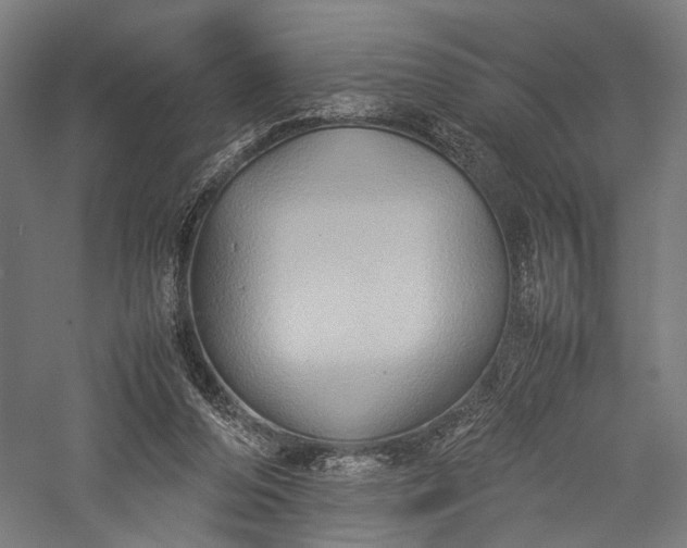 X0000057040208200509231456
