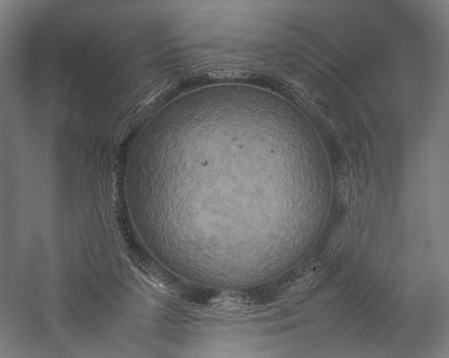 X0000057040211200509231455