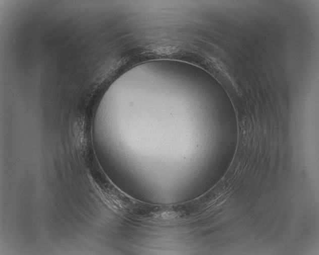 X0000057040212200509231455